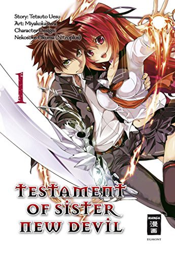 Testament of Sister New Devil