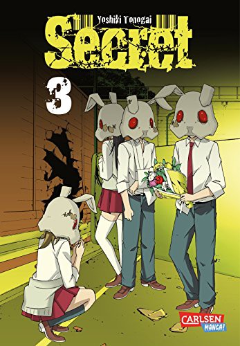 Secret - Band 3(Abschlussband)