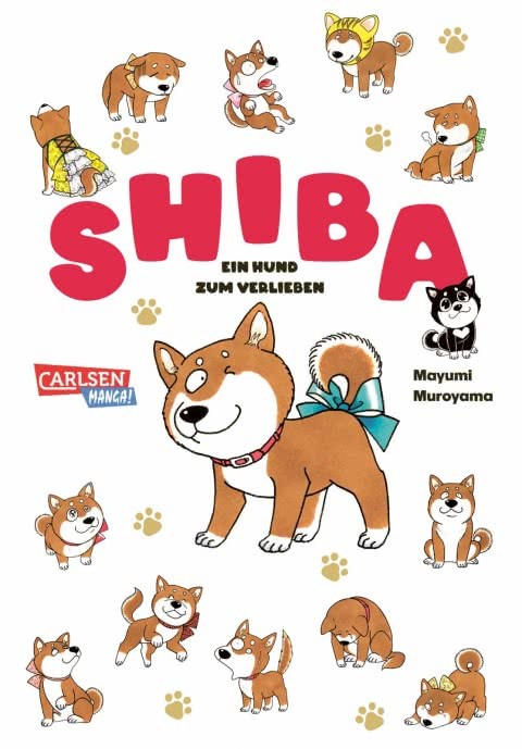Shiba - ein Hund zum Verlieben