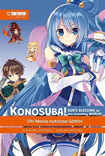 KonoSuba! God's blessing on this wonderful world (Light Novel)