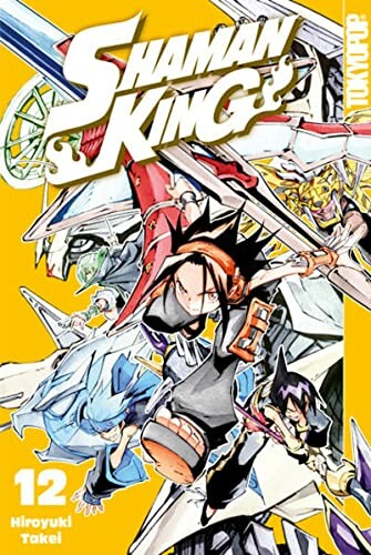 Shaman King (ReEdition 2in1) - Band 12