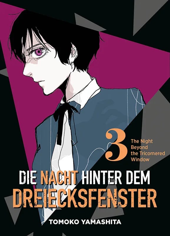 Die Nacht hinter dem Dreiecksfenster - Band 3