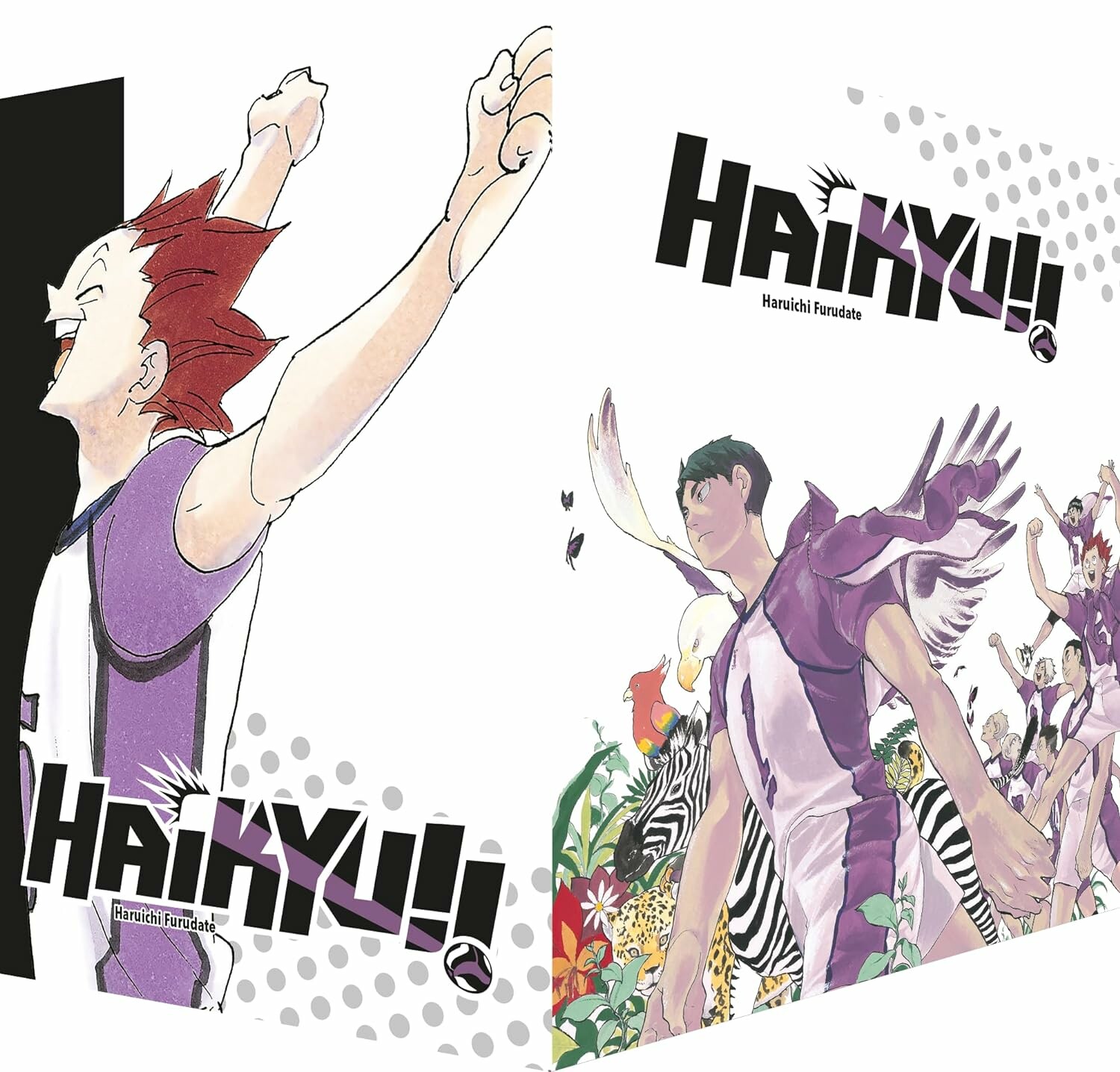 Haikyu!! - Sammelbox 4 (Band 31-40+Schuber)