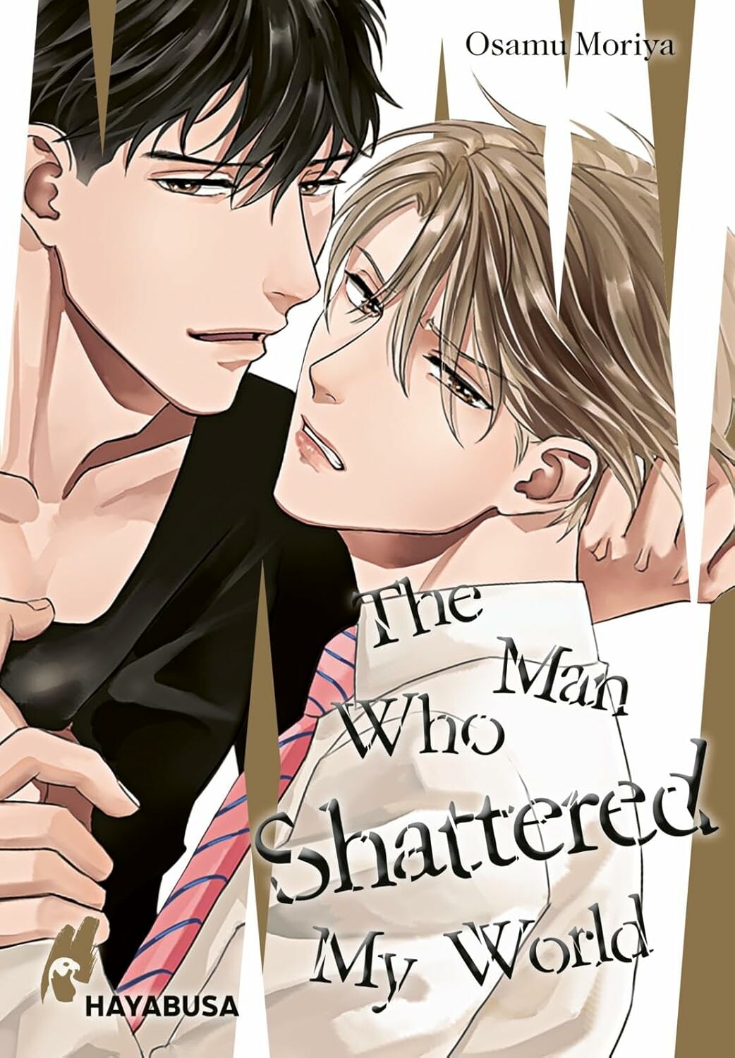 The Man who shattered my World
