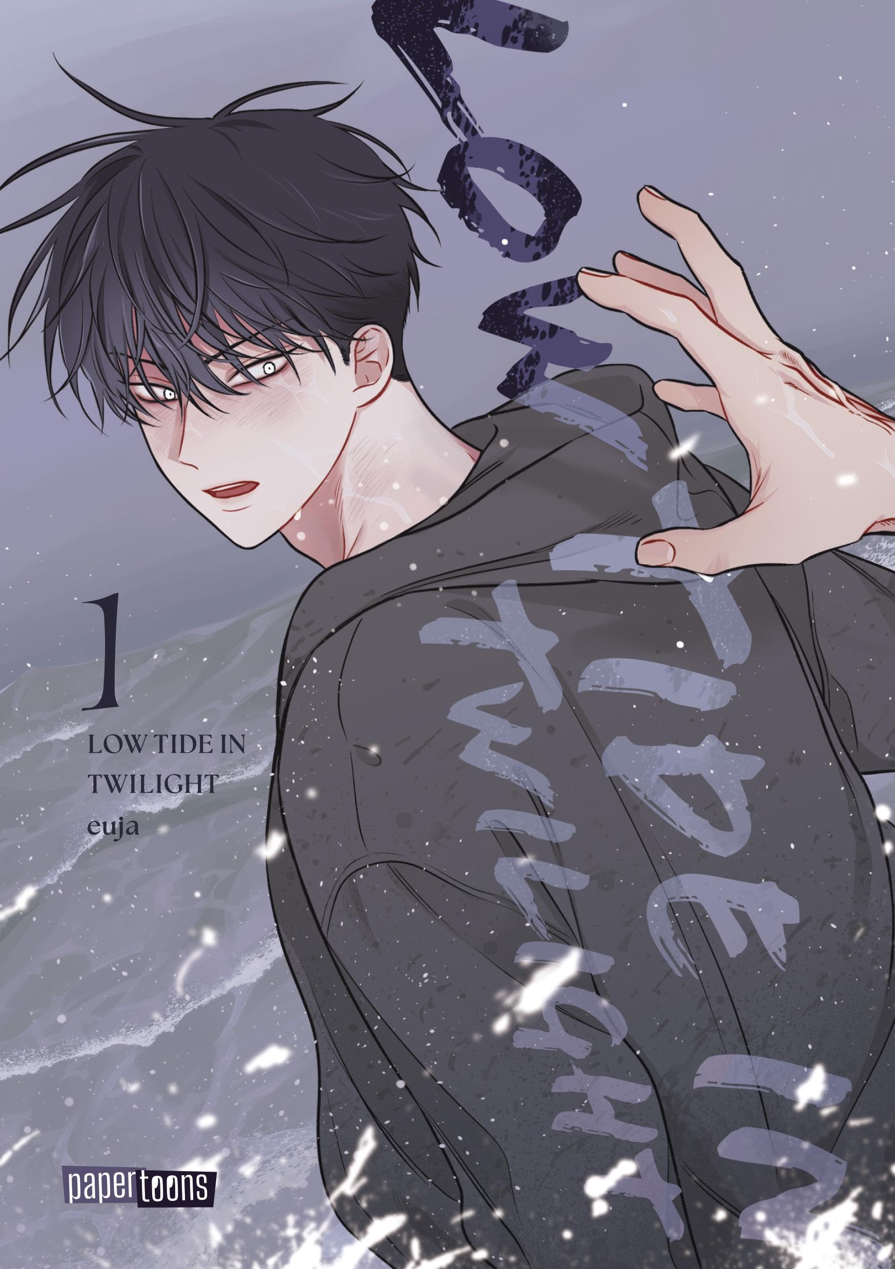 Low Tide in Twilight