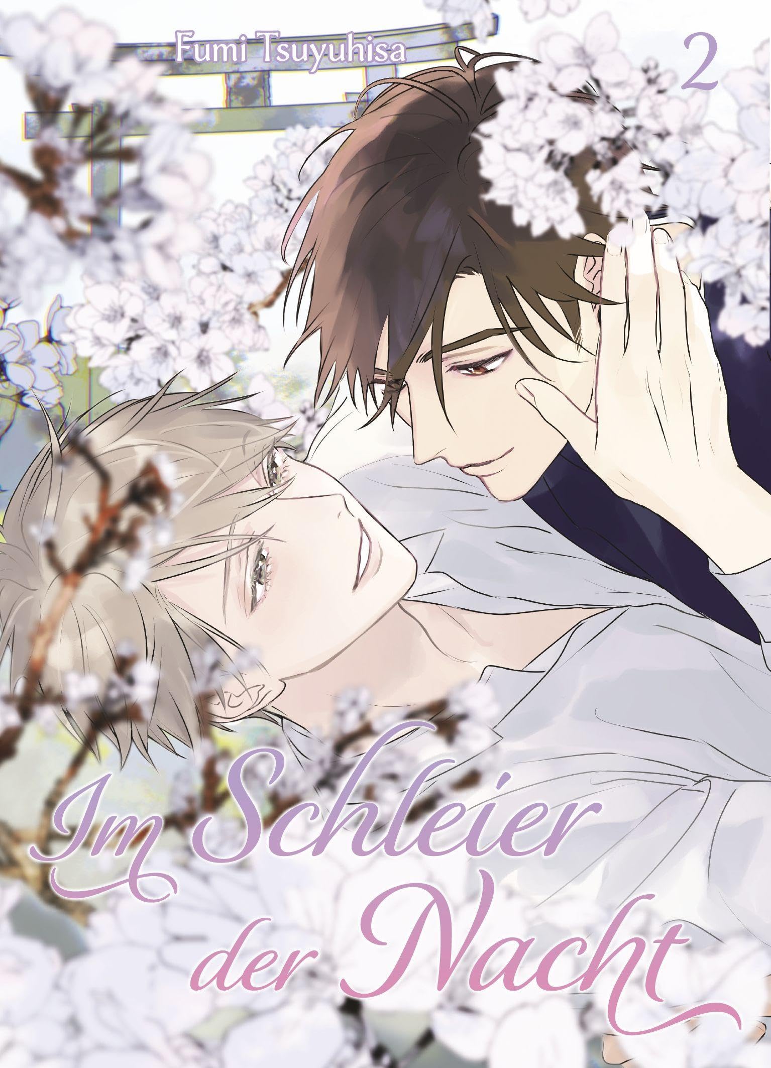 Im Schleier der Nacht - Band 2(Abschlussband)