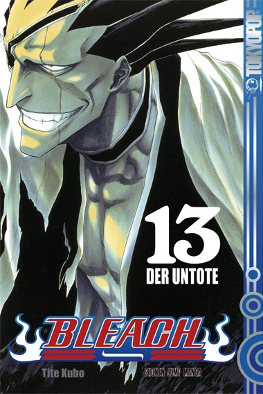 Bleach - Band 13