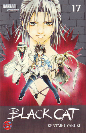 Black Cat - Band 17