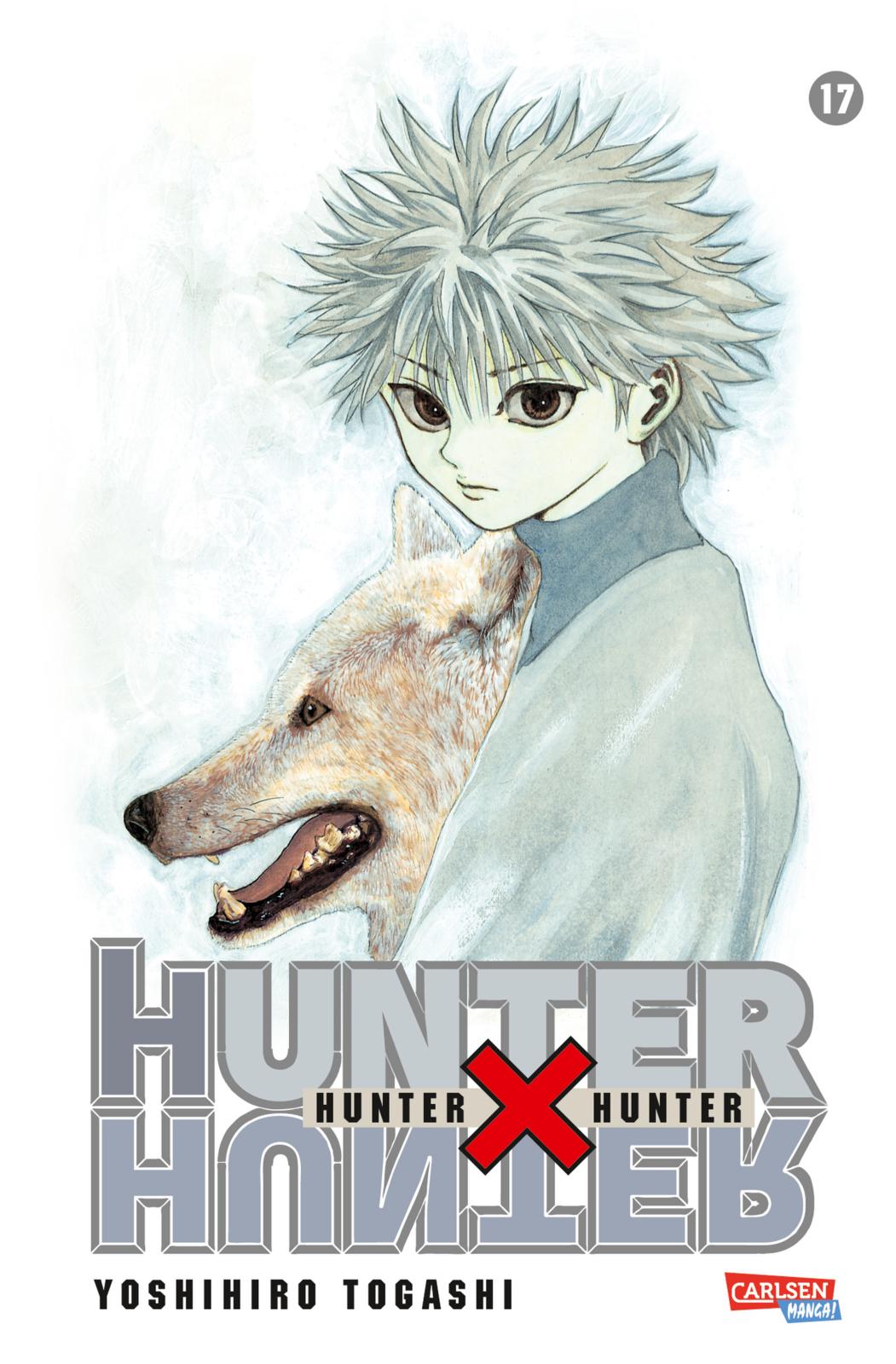 Hunter X Hunter - Band 17